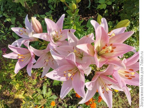 Всех поздравляю с праздником)