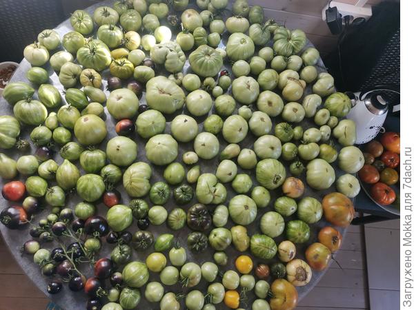 Сборная солянка