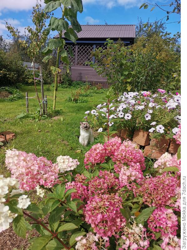 Вот так вот