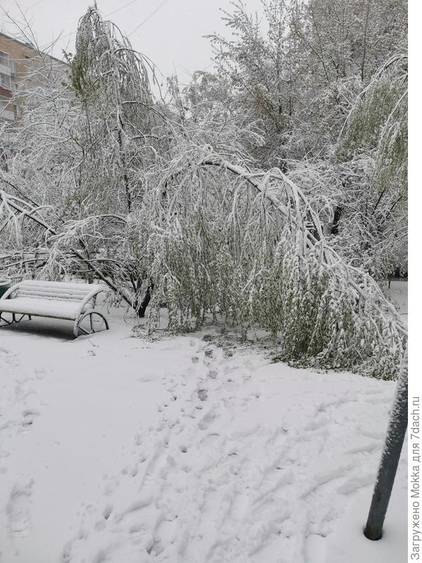 Здесь была дорожка