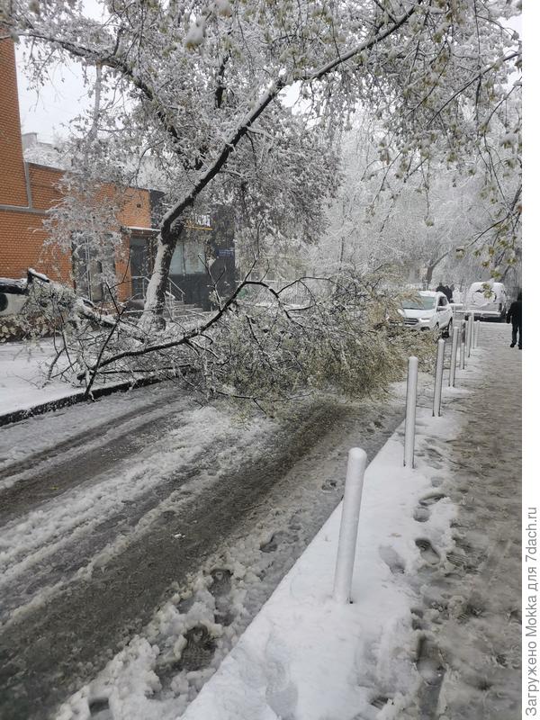Новый шлагбаум во дворе. Слава Богу никто не пострадал