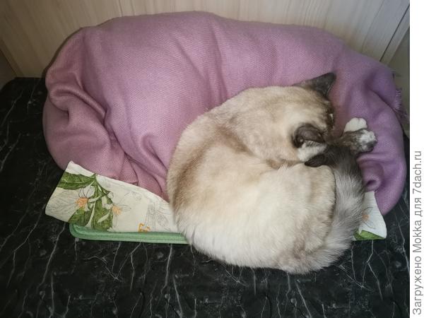 На охране заготовок