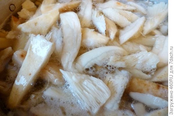 Груздянка из соленых груздей рецепт с фото пошагово