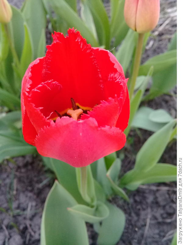 С праздником! Мира и благополучия!