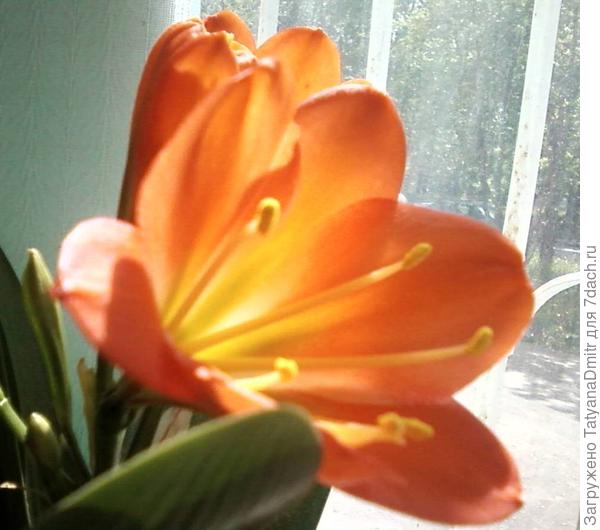 С Днем рождения!