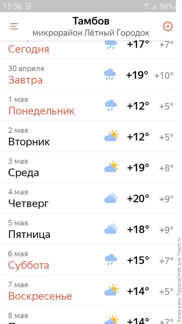 Пока как-то так, но часто ошибаются, например сегодня дождика не было