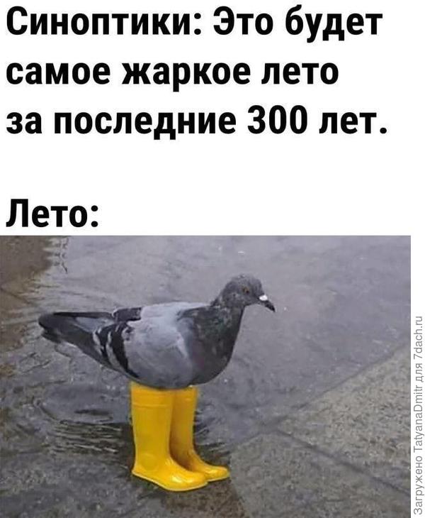 У нас так, не просыхает совсем