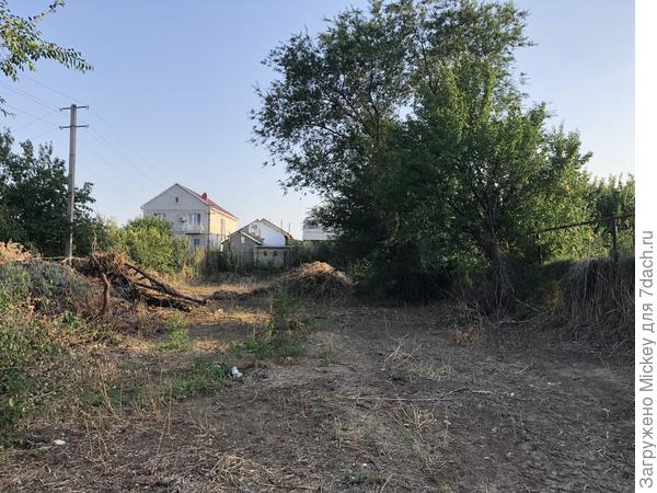 Вид с середины участка на южную сторону (конец).
