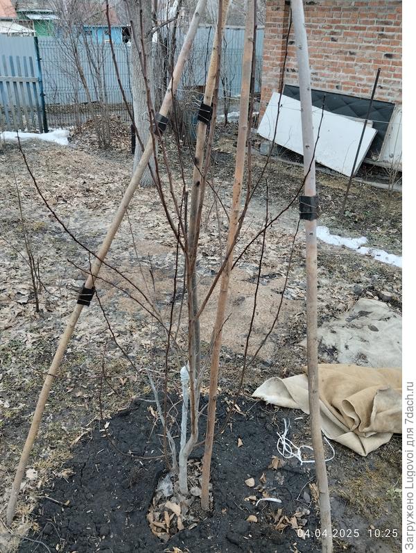 Гордость Урала сейчас весна 2025