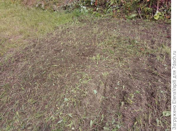 Первый проход