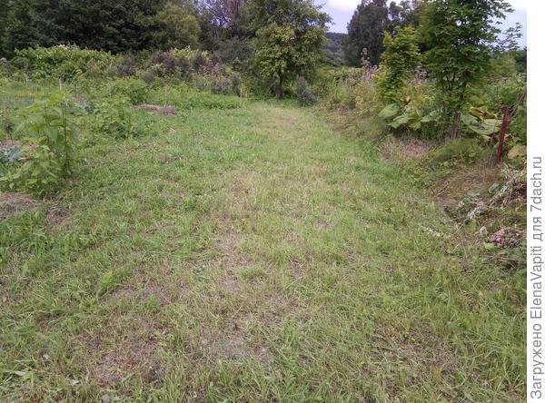 Вот такую территорию я буду обрабатывать