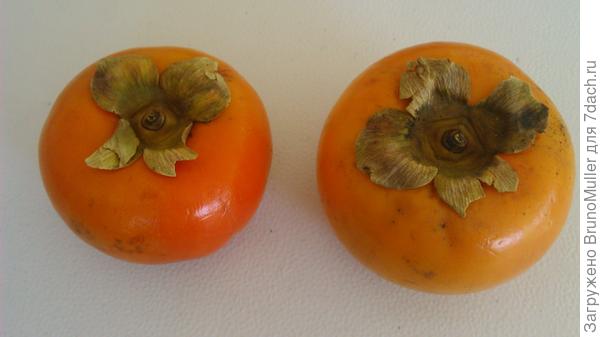 Две штуки за 0,5 доллара.