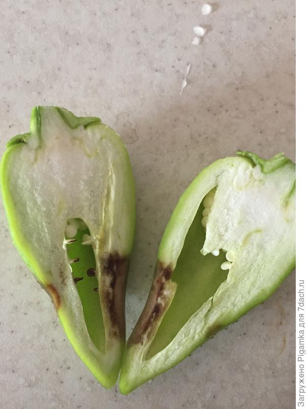 Вот так в разрезе