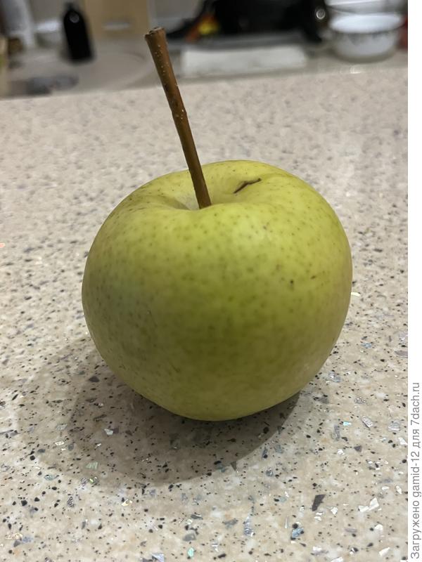 Груша, но какая?