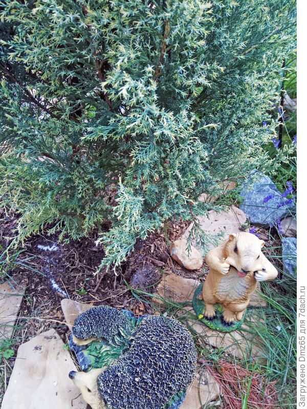 побеги как то изменились на Можж-ке