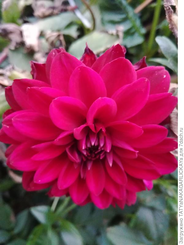 в реальности более темный