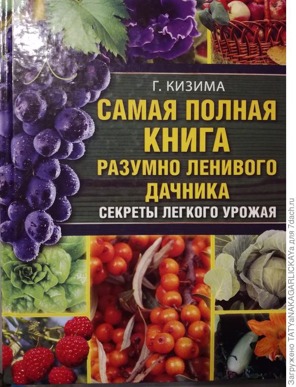 Мой подарок