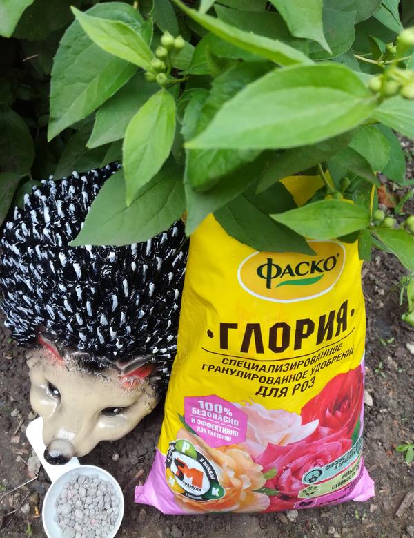 ФАСКО® для жасмина