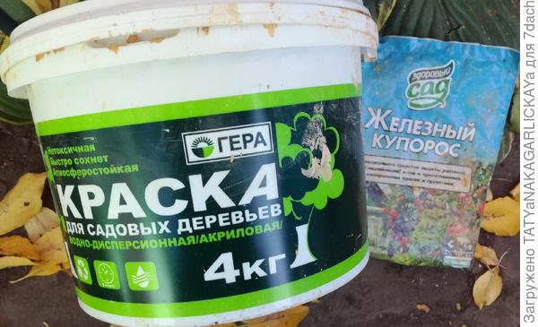 краска для садовых деревьев и железный купорос