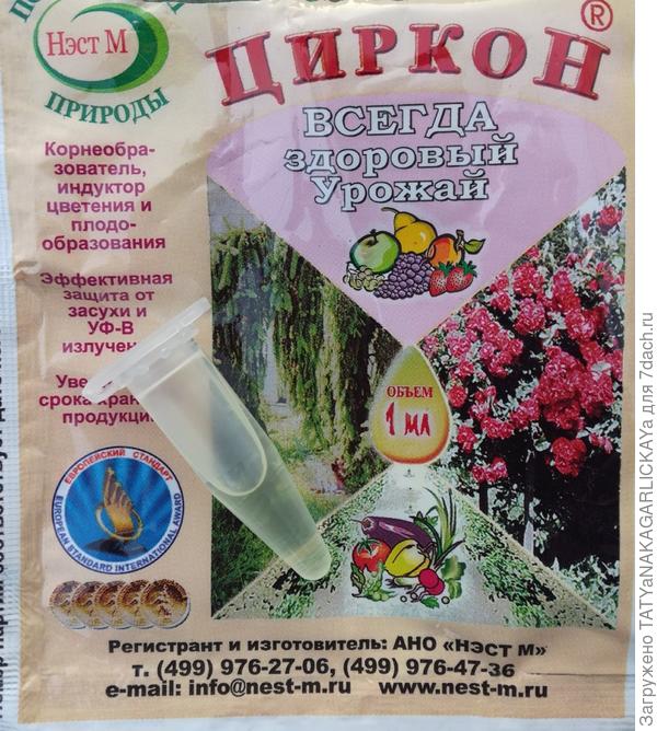 ампула циркона
