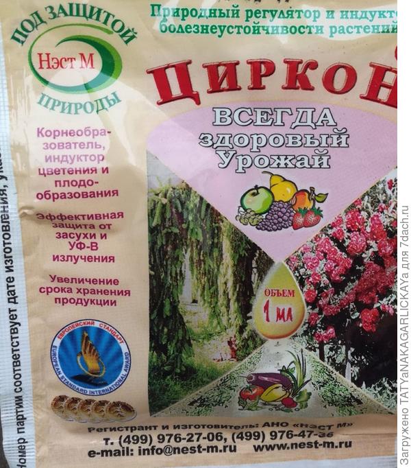 циркон