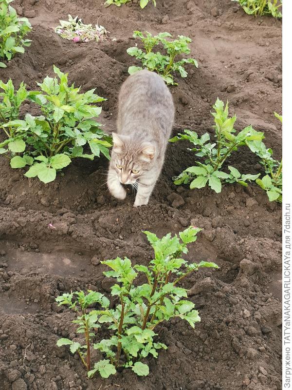 Контролер №1