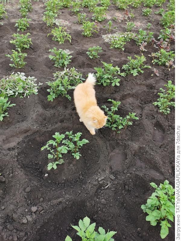 Контролер №2