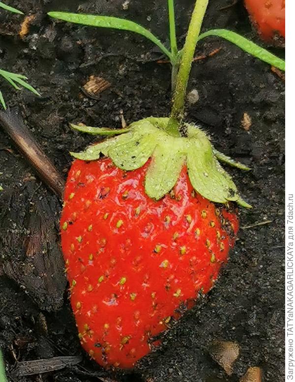 &amp;quot;Мурано&amp;quot; 04.06.2021 г.