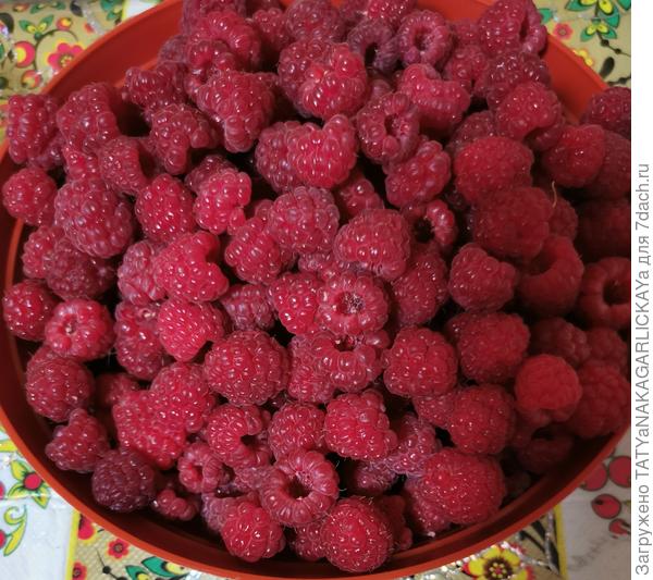 Ягода-малина 06.07.2021г.