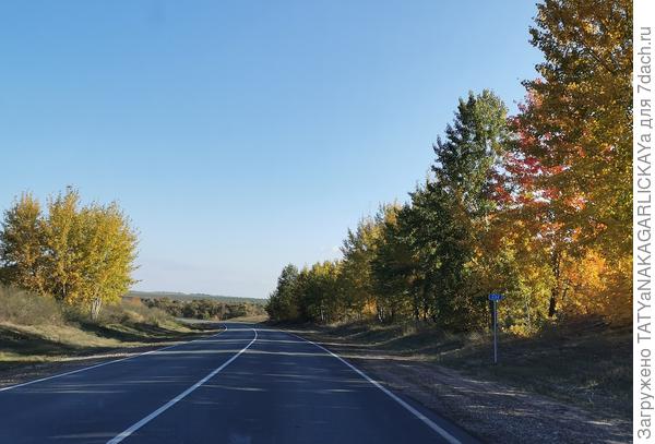 По дороге из Аткарска в Саратов