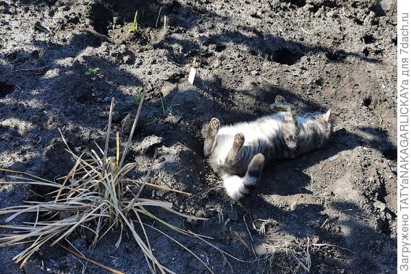 Пока тепло и солнечно