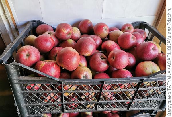 Собрали остатки