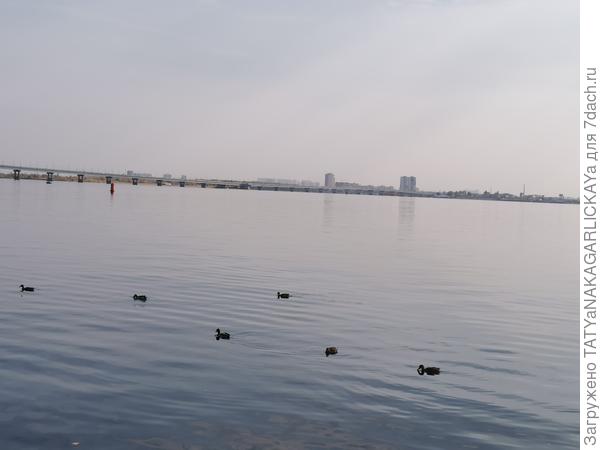 Волга в теплый и солнечный осенний день