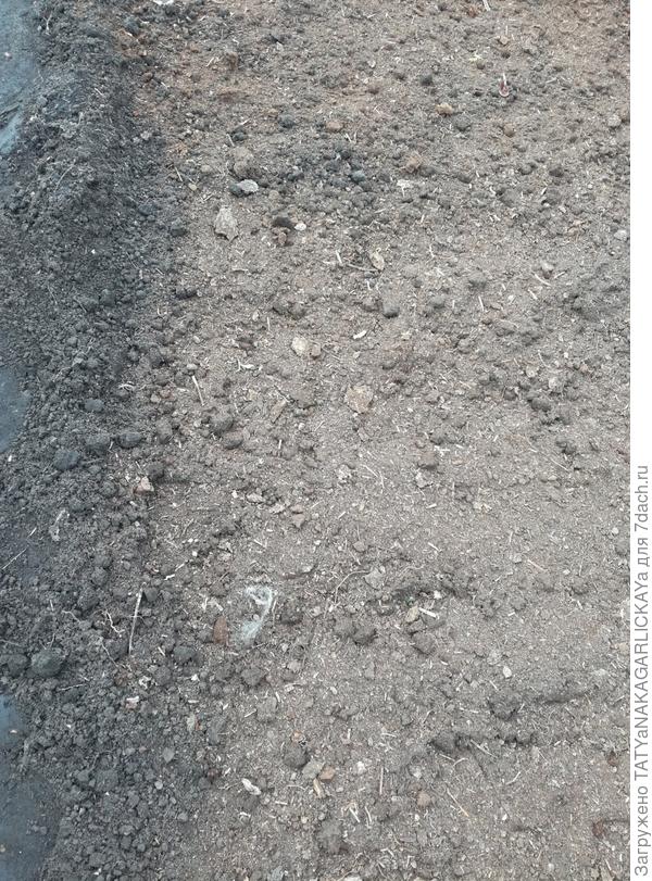 Перегной - мульча на все времена