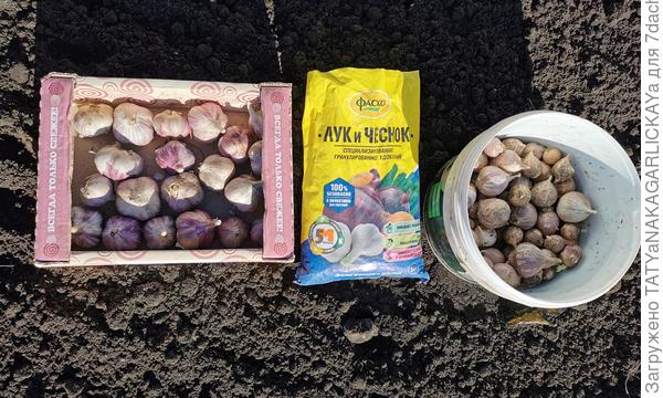 Можно приступать к посадке