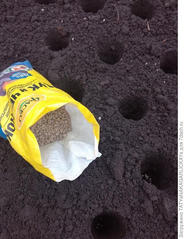 Удобрение для лука и чеснока