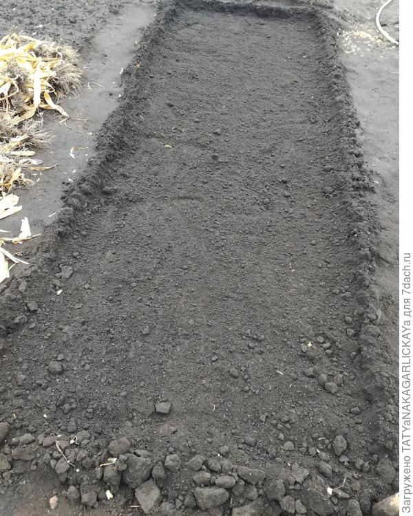 Так выглядит грядка после заделки лунок землей