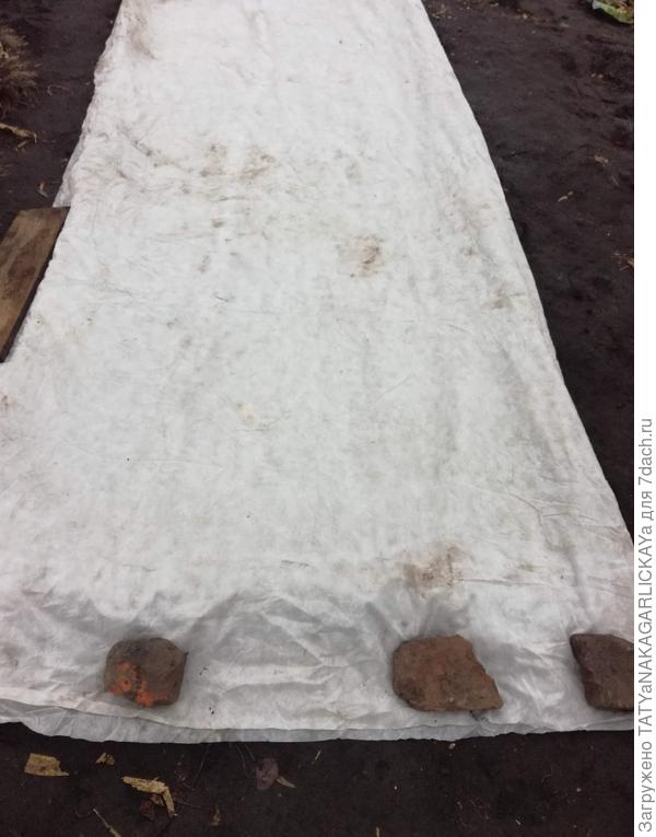 Грядка под укрывным материалом