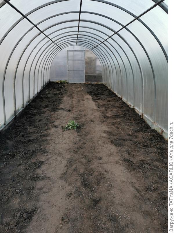 Теплица отмыта