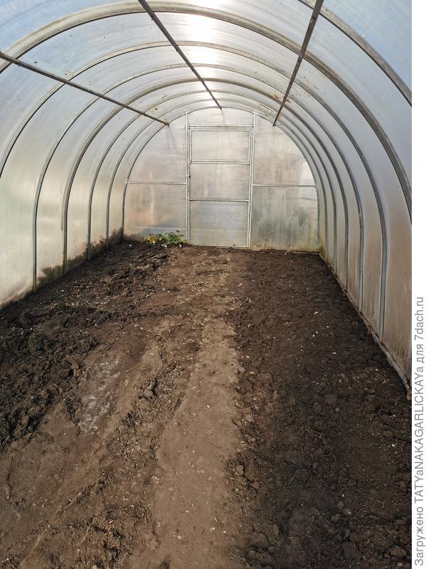 Теплица перед мытьем