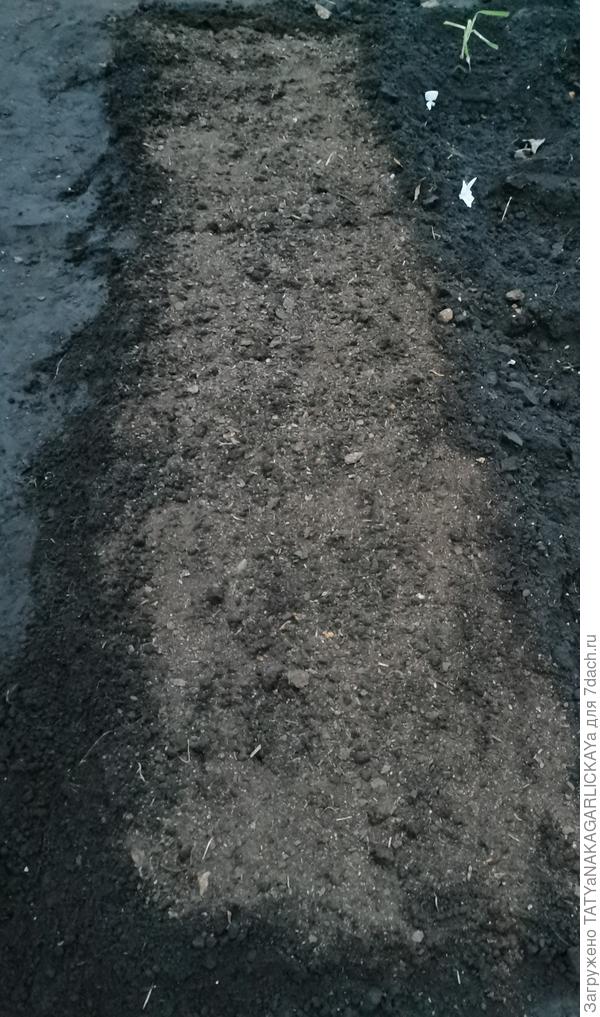 Замульчированная грядка