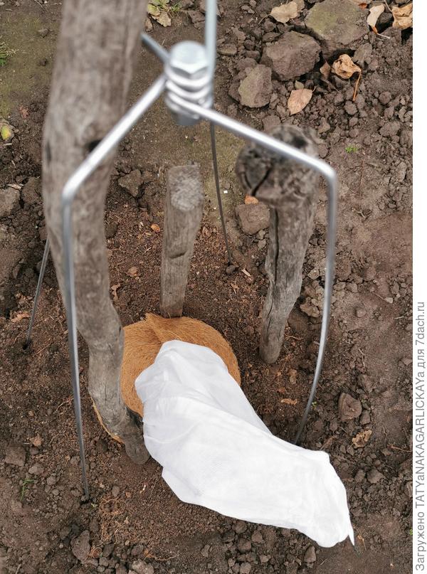 На очереди каркас