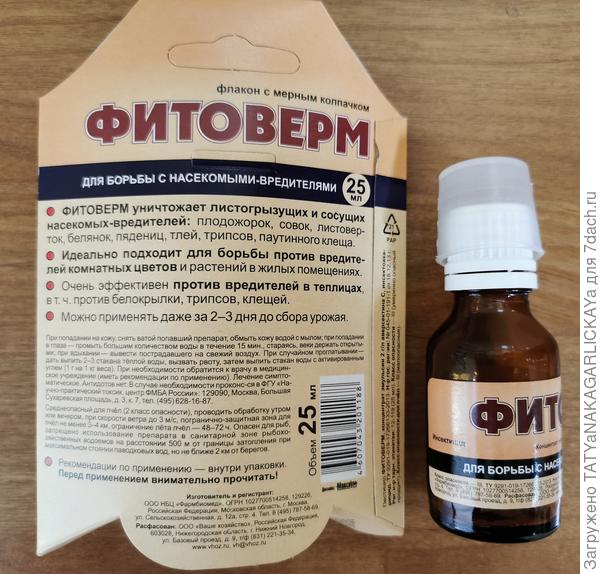 Борьба с паутинным клещом в теплице. Описание метода и фото
