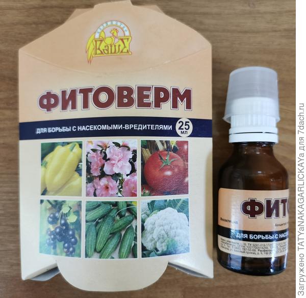 Борьба с паутинным клещом в теплице. Описание метода и фото