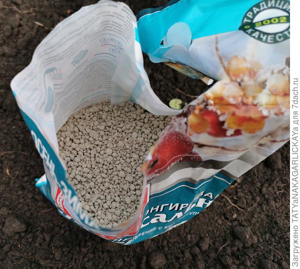 Бона Форте осень-зима