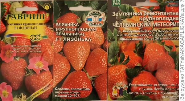 садовая земляника семена