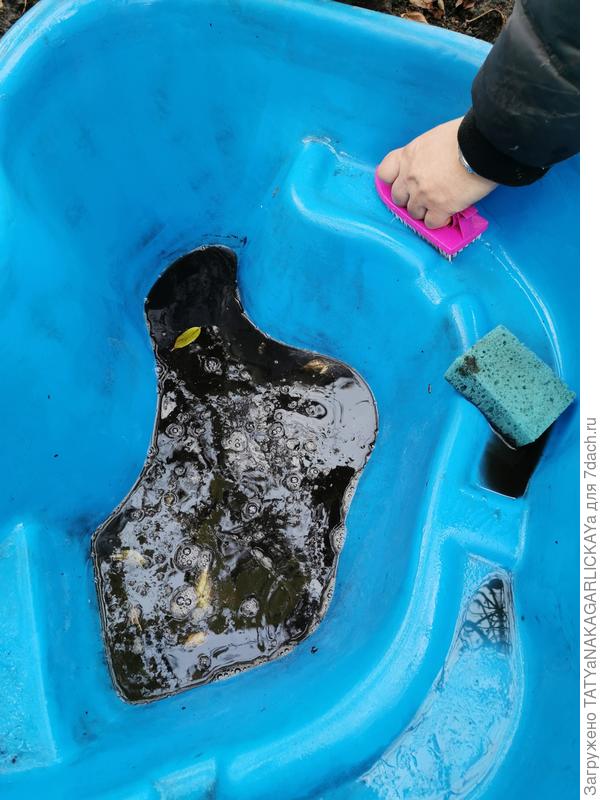 осеннее попурри - стенки пруда с щёткой ототри