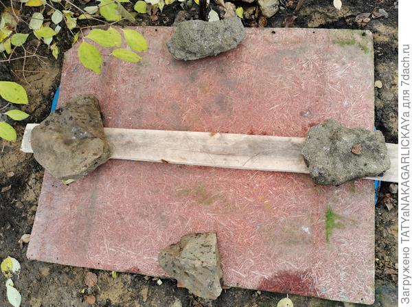 Осеннее попурри консервацию пруда произведи