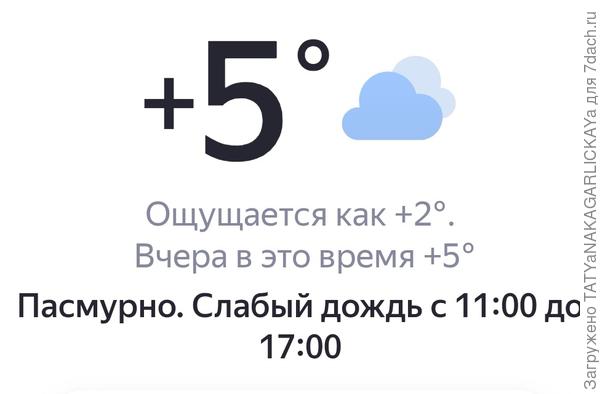 Сегодня в Саратове