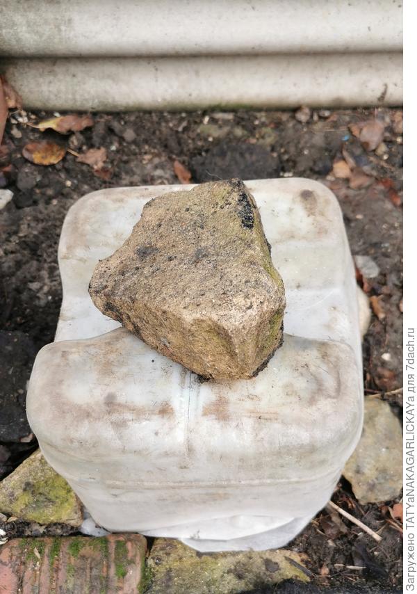 Укрываем клематисы 2025 воздушно-сухое укрытие